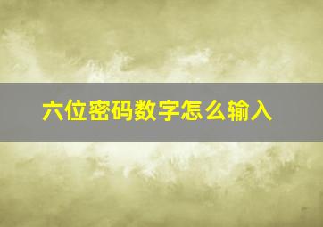 六位密码数字怎么输入