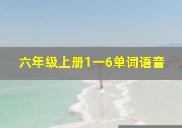 六年级上册1一6单词语音