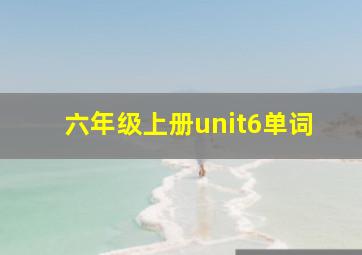 六年级上册unit6单词