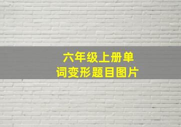 六年级上册单词变形题目图片