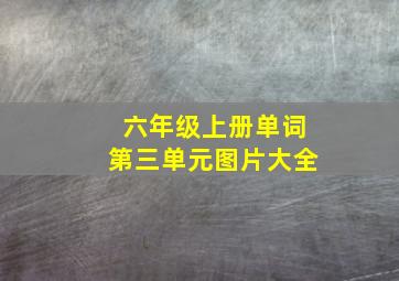 六年级上册单词第三单元图片大全