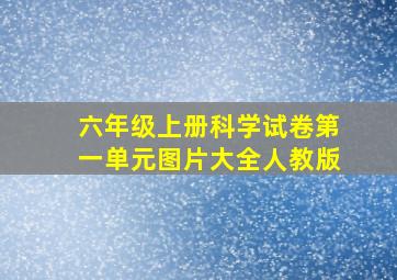 六年级上册科学试卷第一单元图片大全人教版