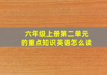 六年级上册第二单元的重点知识英语怎么读