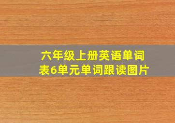 六年级上册英语单词表6单元单词跟读图片