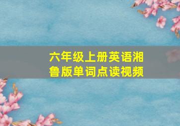 六年级上册英语湘鲁版单词点读视频