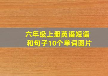 六年级上册英语短语和句子10个单词图片