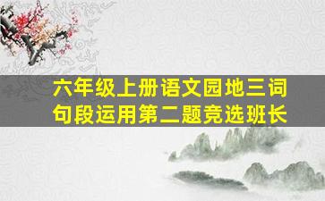 六年级上册语文园地三词句段运用第二题竞选班长