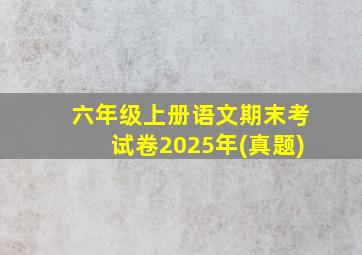 六年级上册语文期末考试卷2025年(真题)