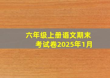 六年级上册语文期末考试卷2025年1月