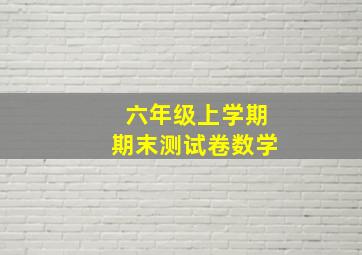 六年级上学期期末测试卷数学