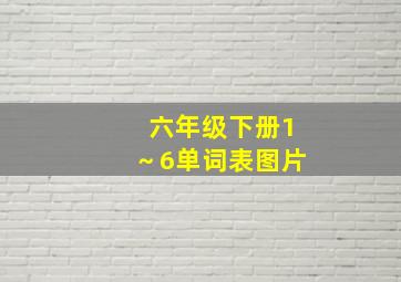 六年级下册1～6单词表图片