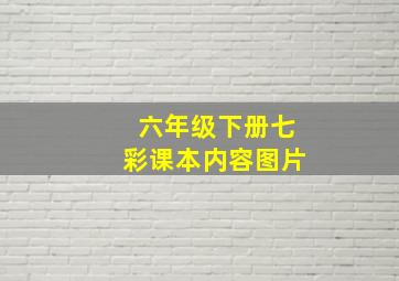 六年级下册七彩课本内容图片