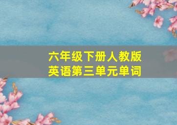 六年级下册人教版英语第三单元单词