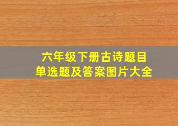 六年级下册古诗题目单选题及答案图片大全