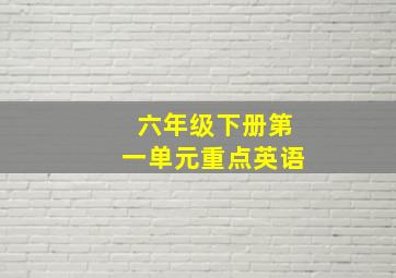 六年级下册第一单元重点英语