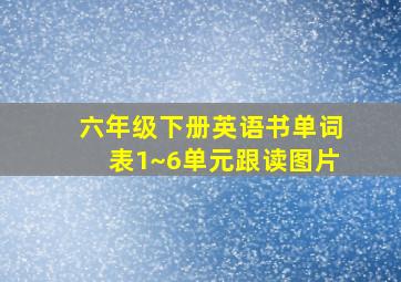 六年级下册英语书单词表1~6单元跟读图片