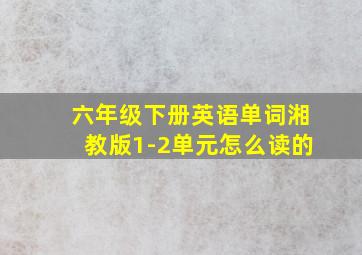 六年级下册英语单词湘教版1-2单元怎么读的