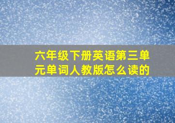 六年级下册英语第三单元单词人教版怎么读的