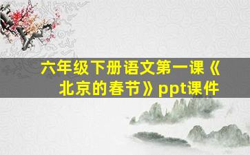 六年级下册语文第一课《北京的春节》ppt课件