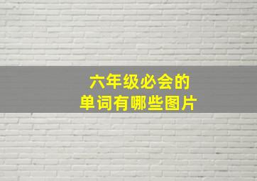 六年级必会的单词有哪些图片