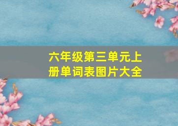 六年级第三单元上册单词表图片大全