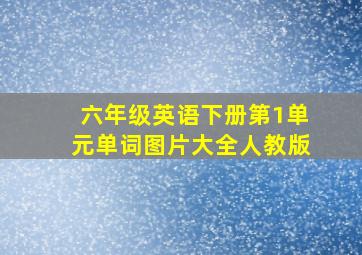 六年级英语下册第1单元单词图片大全人教版