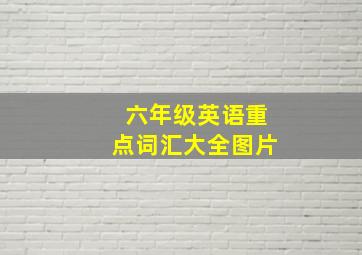 六年级英语重点词汇大全图片