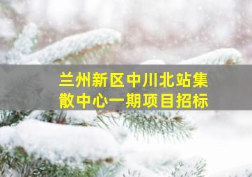 兰州新区中川北站集散中心一期项目招标