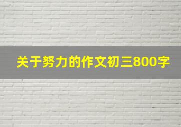 关于努力的作文初三800字