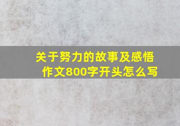 关于努力的故事及感悟作文800字开头怎么写