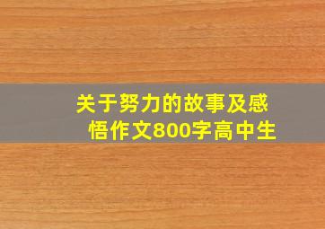 关于努力的故事及感悟作文800字高中生