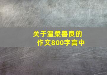 关于温柔善良的作文800字高中