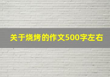 关于烧烤的作文500字左右