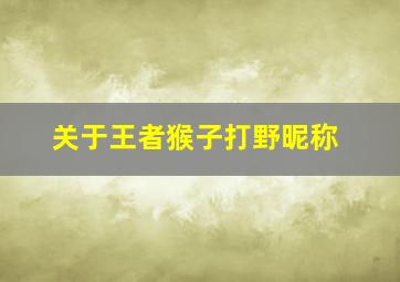 关于王者猴子打野昵称