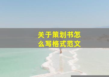 关于策划书怎么写格式范文