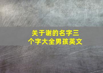 关于谢的名字三个字大全男孩英文