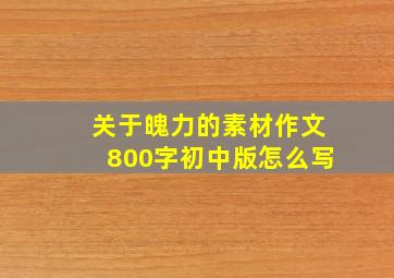 关于魄力的素材作文800字初中版怎么写