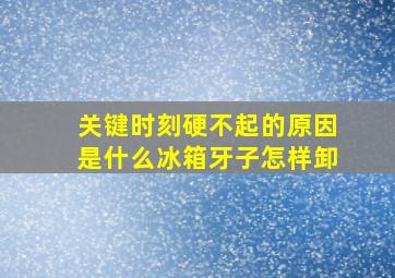 关键时刻硬不起的原因是什么冰箱牙子怎样卸