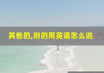 其他的,别的用英语怎么说