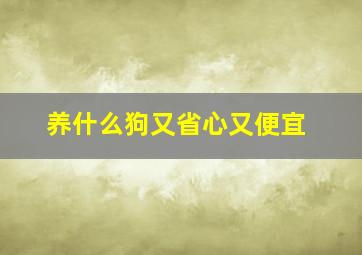 养什么狗又省心又便宜