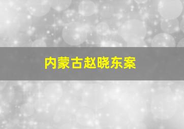 内蒙古赵晓东案