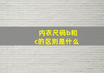 内衣尺码b和c的区别是什么