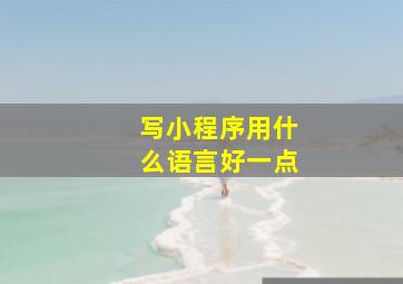 写小程序用什么语言好一点