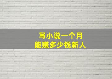 写小说一个月能赚多少钱新人