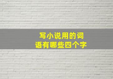 写小说用的词语有哪些四个字