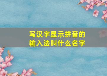 写汉字显示拼音的输入法叫什么名字