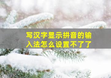 写汉字显示拼音的输入法怎么设置不了了