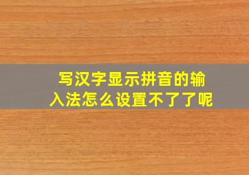 写汉字显示拼音的输入法怎么设置不了了呢