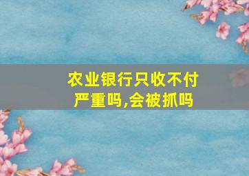 农业银行只收不付严重吗,会被抓吗