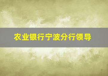 农业银行宁波分行领导